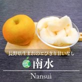 南水　なし　太鼓判　糖度14度以上　贈答用　約3kg　5-10玉　長野県下伊那産　敬老の日　フルーツ　ギフト