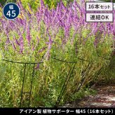 アイアン製植物サポーター 幅45 16本セット IF-N0047-16P奥行23 高さ85 ハーフリング 倒れ防止 広がり抑制 スチール 鉄製 支柱 園芸 植物サポート フラワーサポート 菜園 花壇