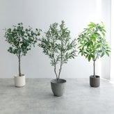 照明 ライト パキラ 観葉植物 人工 フェイクグリーン 室内 リビング オフィス 一人暮らし 緑 インテリア 光触媒 空気清浄 消臭 抗菌 防汚 ホルムアルデヒド分解 おしゃれ 高さ150cm 造花 植木 鉢植え 新築祝い 開店