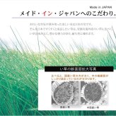 夏ラグ 夏用カーペット 純国産 い草ラグカーペット 格子柄シンプルモダン 『Fライト』 約191×191cm