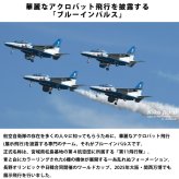 ドライTシャツ ブルーインパルス 基地ショップ限定 Tシャツ 航空自衛隊 自衛隊 グッズ 半袖 エンブレム オリジナル 紺 ネイビー 速乾 吸水 アクロバット飛行 展示飛行 正規品 防衛省 ワンポイント バックプリント メンズ ユニセックス メッシュ ギフト プレゼント