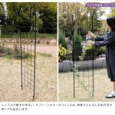 アイアンフェンス 高さ176cm 幅42cm 2枚セット ガーデンフェンス スリム 地面に挿す トレリス つる植物 薔薇 バラ クレマチス 朝顔 グリーンカーテン 園芸 柵 仕切り 格子 アンティーク ブラック 屋外 ベランダ プランター グラフ 花壇用