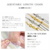 【TVで紹介】馬蹄 ネックレス K18 18金 プラチナ 仕上 レディース 金属アレルギー 対応 シンプル 50代 大人 20代 カジュアル ブランド リズ ホースシュー 結婚記念日 女性 妻 母の日 誕生日 プレゼント 女友達 ギフト 30代 40代