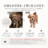ペットのお写真で作るハンドタオル(ハンカチ) For PAPA | 名入れ・記念日いり【送料無料】お誕生日 母の日 父の日 敬老の日 還暦祝い クリスマスプレゼント うちの子グッズ お歳暮 クリスマス