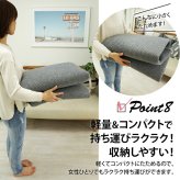 ラグ カーペット マット 80×190cm ホリデープラス 敷物 撥水加工 はっ水加工 手洗い可能 ホット 対応 床暖房対応 すべり止め付き マイクロファイバー 低反発ウレタン 低ホルムアルデヒド シンプル 北欧 ホワイト ブラウン グレー グリーン