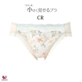 ワコール 小さく見せるブラ ペアショーツ PRA153 M・L ビキニ・ハイレッグ ノーマルタイプ【セール】
