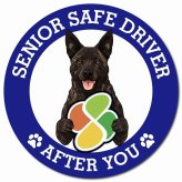 カーサイン 高齢者マーク SENIOR SAFE DRIVER 甲斐犬 マグネット 強力 直径13cm 肉球 日本製 車 ステッカー