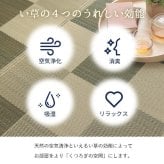 夏ラグ 夏用カーペット 国産 い草ラグ カーペット ブロック調 おしゃれ おすすめ シンプル クッション性 江戸間10畳(約435×352cm）