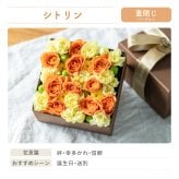 <季節のお花おまかせ>フラワーギフトボックスアレンジメント　リボン付き　 そのまま飾れる 生花 花市場から直送  父の日 お祝い お誕生日 結婚祝い フラワーボックス バラ カーネーション かわいい おしゃれ 女性 ギフト プレゼント 即日発送 手提げ付き  メッセージカード無料