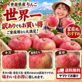 青森県産　りんご　世界一　特大　訳あり　家庭用　3kg　6～10玉　送料無料！