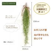 【送料無料】 飾るだけでお洒落な空間に【造花・光触媒】光触媒がお部屋の気になる臭いを脱臭 フェイクグリーンで癒しの空間　 造花 観葉植物  スパニッシュモス壁掛け 光触媒でニオイを分解！