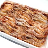 山陰の地エビ「ガラエビ/ドロエビ」（船内冷凍）中サイズ  500ｇ以上　 送料無料 ※北海道、東北、沖縄は送料別途加算