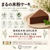 グルテンフリーヴィーガン 米粉のベリーベリーケーキ 6号（18cmホール）