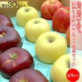 長野県産りんご3兄弟セット シナノスイート 秋映 シナノゴールド ご贈答 果物 フルーツ お取り寄せ 産地直送 【送料無料(一部地域除く)】