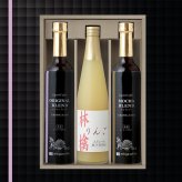 北海道羊蹄山 名水アイスコーヒー＆ストレートジュース詰合せ　HMP-30J