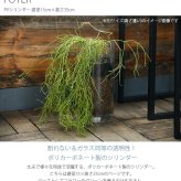 FOYER ホワイエ PVシリンダー 直径15cm×高さ35cm
