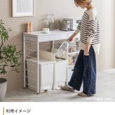 キッチンカウンター ゴミ箱収納 ゴミ箱上ラック レンジラック ダストボックス キッチンラック レンジ台 収納棚 おしゃれ 北欧 シンプル キッチン 収納 間仕切り 120cm幅 背面収納ありタイプ ：