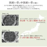 夏ラグ 夏用カーペット ラグ い草 国産 純国産 日本製 シンプル 無地風 抗菌防臭 自然素材 ウレタン 約140×200cm
