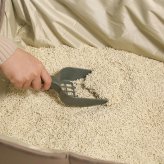 MYZOO マイズー ポータブル猫トイレ　Foldable Cat Litter Box