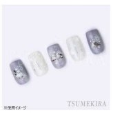 ツメキラ TSUMEKIRA ネイルシール シマエナガのしまちゃんえなちゃん NN-SAK-009 Sakiプロデュース 雪の妖精 鳥 小鳥 動物 かわいい 冬ネイル セルフネイル ジェルネイル 貼るだけ デコシール ネイルアート
