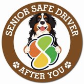 カーサイン 高齢者マーク SENIOR SAFE DRIVER バーニーズマウンテンドッグ マグネット 強力 直径13cm 肉球 日本製 車 ステッカー