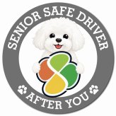 カーサイン 高齢者マーク SENIOR SAFE DRIVER ビションフリーゼ マグネット 強力 直径13cm 肉球 日本製 車 ステッカー