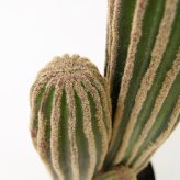観葉植物 造花 柱サボテン BROWN 全高約63cm 卓上・小型 フェイクグリーン 本物そっくり おしゃれ インテリア 人工観葉植物 アーティフィシャルグリーン オフィス 店舗 ホテル 開店祝い 室内 ミニ サボテン カクタス フェイク