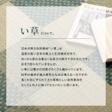 夏ラグ 夏用カーペット い草カーペット うしお 約174×261cm 江戸間 3畳 3帖 敷き詰め 柄上敷き 花ござ い草ラグ 和モダン 市松模様 新生活