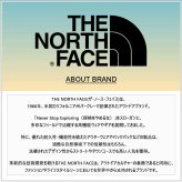 ノースフェイス THE NORTH FACE ショルダーバッグ ジェスター クロスボディ ロゴ 肩掛け コンパクト カバン アウトドア 小物 NF0A52UC 0IO メンズ グレー