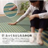 夏ラグ 夏用カーペット ラグ い草 撥水 滑り止め 不織布 格子柄 シンプル カジュアル 抗菌防臭 約190×300cm 新生活