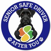 カーサイン 高齢者マーク SENIOR SAFE DRIVER ジャイアントシュナウザー マグネット 強力 直径13cm 肉球 日本製 車 ステッカー