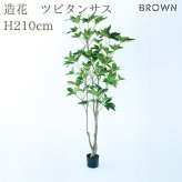 観葉植物 造花 ツピタンサス BROWN 全高約210cm 大型 3本立ち フェイクグリーン 高級 本物そっくり リアル おしゃれ インテリア 人工観葉植物 アーティフィシャルグリーン オフィス 店舗 ホテル 開店祝い 室内 リビング 玄関 風水 ツピダンサス