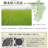 夏ラグ 夏用カーペット 純国産 い草 上敷き カーペット 市松織 『不知火』 三六間8畳(約364×364cm） 熊本県八代産イ草使用