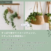ラグ カーペット スベリ止めシート（9枚入り） 10x10cm 洗濯不可 すべり止め HOT対応・床暖房対応 絨毯 マット