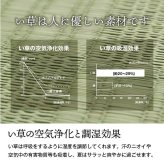 夏ラグ 夏用カーペット 純国産 い草 上敷き カーペット 格子柄 本間2畳 (約191×191cm）