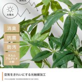 【高さ55cm】光触媒人工観葉植物 パキラ 幅35cm×奥行35cm×高さ55cm コンパクト 天然木 お部屋に気軽に飾れて空間を美しく彩るフェイクグリーン 本物の植物のようなリアルな質感とインテリアに馴染む風合いが魅力です