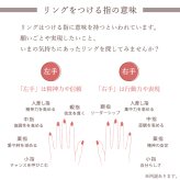 セミ オーダーメイド リング 指輪 誕生石 1.5mm 5石 Ties K10 K18 10K 18K 10金 18金 プラチナ 女性 レディース 誕生日 記念日 プレゼント ギフト 誕生日プレゼント ファミリーリング 刻印 名入れ 20代 30代 40代 妻 彼女 天然石 ダイヤモンド ミルグレイン ゴールド ピンクゴールド イエローゴールド 選べる アクセサリー アレルギー対応 金属アレルギー