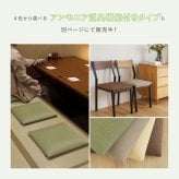 畳クッション 楽座 らくざ 日本製 約39×39×5cm 水拭きできる い草風 座布団 樹脂畳 炭配合 消臭 ホルムアルデヒド吸着 高反発ウレタン4cm 底付き感軽減 滑りにくい 和室 洋室 リビング 飲食店 旅館 業務用 ブラック 来客向け 快適