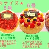 クリスマス生乳アイスケーキ【4～7号】 ［クリスマスケーキ クリスマスデコレーション クリスマスフルーツケーキ］