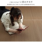 夏ラグ 夏用カーペット ラグ い草 国産 純国産 日本製 シンプル 無地風 抗菌防臭 自然素材 ウレタン 約140×200cm