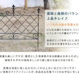 ガーデン エクステリア アプローチローフェンス 8枚組 送料無料 フェンス アイアン ガーデニング 枠 柵 仕切り 目隠し 境目 クラシカル アンティーク トレリス ベランダ つる 薔薇 バラ 朝顔 園芸 ラティス つるバラ 庭誘引 屋外