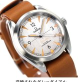 オメガ シーマスター レイルマスター コーアクシャル 時計 メンズ 40mm 自動巻き 機械式 腕時計 ブランド 220.12.40.20.06.001 OMEGA