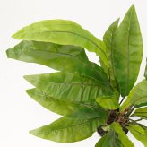 観葉植物 造花 アスプレニウム BROWN 全高約90cm 中型 フェイクグリーン 本物そっくり おしゃれ インテリア 人工観葉植物 アーティフィシャルグリーン オフィス 店舗 ホテル 開店祝い 室内 タニワタリ シダ フェイク