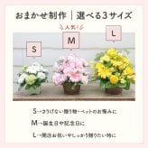 【おまかせアレンジメント】【選べる5色】【Sサイズ】【バルーン追加OK】【送料込】フラワーアレンジメント おまかせ制作 最短翌日届 誕生日 お祝い 結婚祝い 出産祝い 還暦祝い 古稀祝い 喜寿祝い 傘寿祝い 米寿祝い 退職祝い 結婚記念日 引っ越し祝い 新築祝い 産休祝い 開業祝い 開店祝い 記念日 周年祝い フラワーアレンジメント 生花 バルーンフラワー 生花 センスがいい フラワーギフト