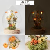 名入れ LEDフラワー マーガレット ガラスドーム タマゴ型 フラワーギフト 花ギフト 間接照明 インテリア プレゼント 誕生日 記念日 母の日 お祝い 女性