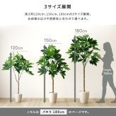 お手入れ簡単 フェイクグリーン パキラ Lサイズ(180cm)