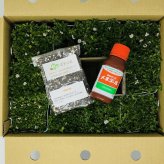 クラピア K5（薄桃）  20株 すくすくセット 完全植栽マニュアル付き 苗20ポット 肥料 活力剤 2種（有機入り一発果菜肥料、メネデール） イワダレソウ改良種 グランドカバー プランツ 雑草対策 庭 ガーデニング diy 緑化 おすすめ ガーデン 植物 多年草
