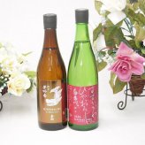 秋酒2本セット 清水清三郎商店 鈴鹿川 ひやおろし 純米酒 750ml 金鯱 円熟 秋あがり純米夢吟香(愛知県)720ml