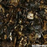 アフタヌーングー AFTERNOON GU うなぎ粗挽き 国産 猫用おやつ 20g
