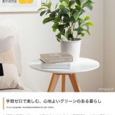 【高さ55cm】光触媒人工観葉植物 パキラ 幅35cm×奥行35cm×高さ55cm コンパクト 天然木 お部屋に気軽に飾れて空間を美しく彩るフェイクグリーン 本物の植物のようなリアルな質感とインテリアに馴染む風合いが魅力です
